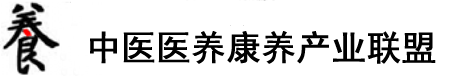 中文字幕人妻熟女人妻av免费